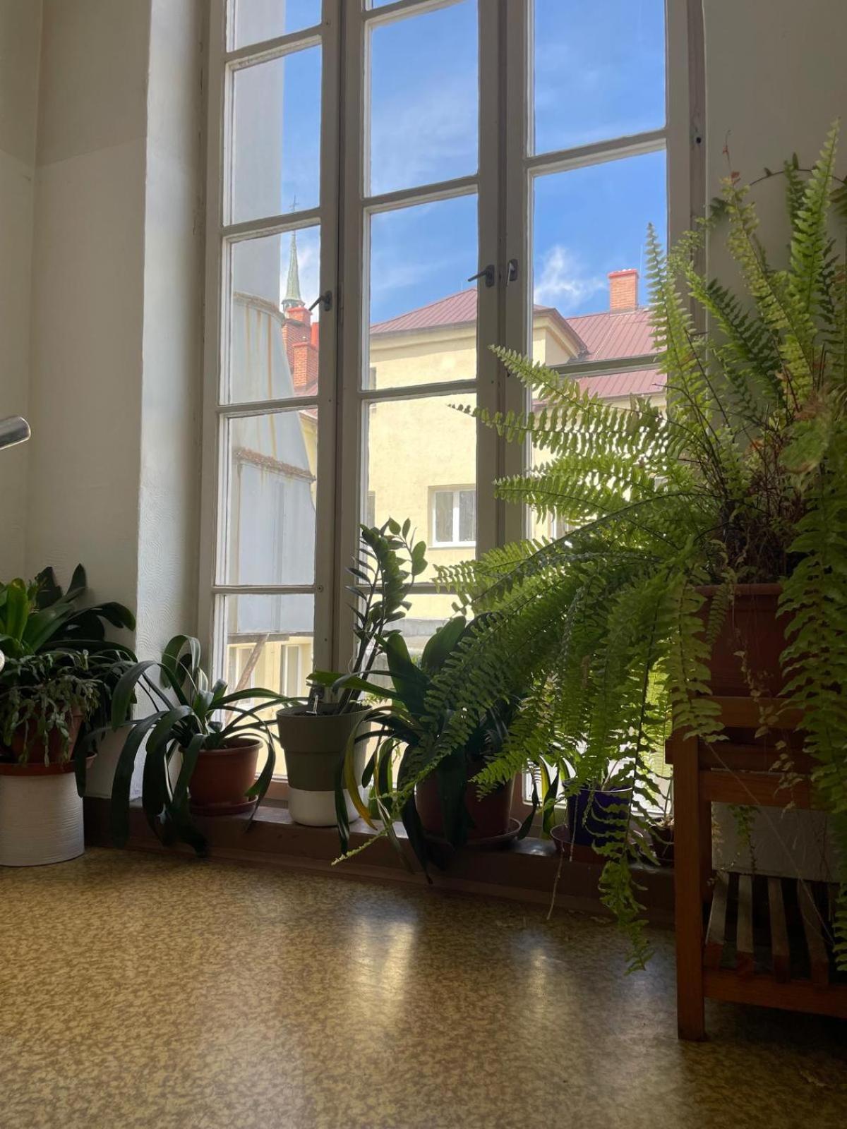 Hostel Moravia Οστράβα Εξωτερικό φωτογραφία